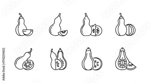 Hand drawn sketch collection of various gourds and squashes with sliced halves artistic fruit food vector
