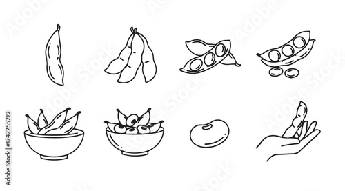 Collection of fresh edamame soybeans in pods and shelled varieties hand-drawn sketch style vector
