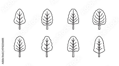 Set of eight simple leaf outlines with varied vein patterns and stem details vector