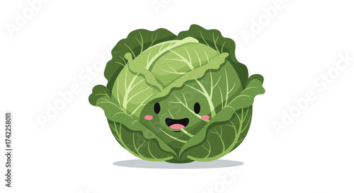 A cute happy cartoon cabbage with big green leaves and a smiling face looking forward.