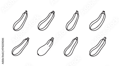 Set of eight hand-drawn zucchini vegetables isolated on simple sketch style vector