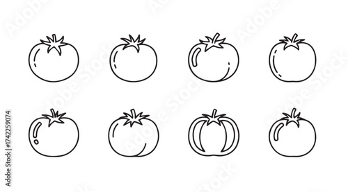 Collection of eight hand-drawn line art tomatoes in various shapes and sizes for fresh produce design vector