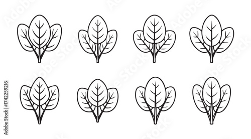 Eight hand drawn spinach leaf icons simple outline designs fresh organic greens collection vector