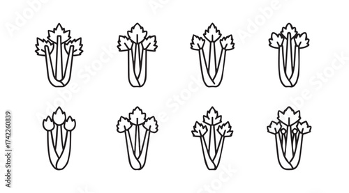 Collection of eight celery stalks stylized line art isolated food ingredient graphics vector