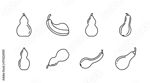 Collection of hand-drawn bottle gourds and squash in varying shapes and orientations simple line art vector