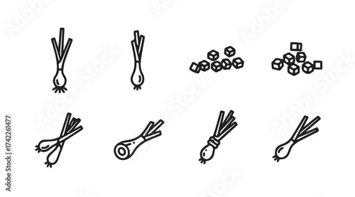 Collection of fresh spring onion icons and graphics for culinary use and design projects vector