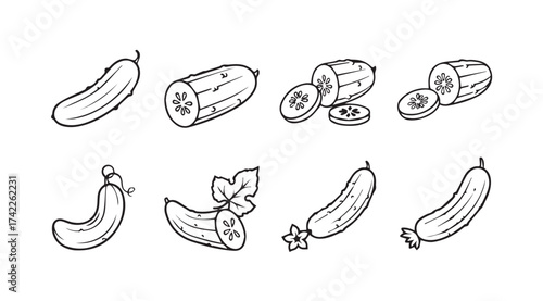 Hand drawn sketch collection of fresh cucumbers and slices isolated on vector