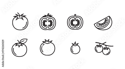 Set of fresh tomato icons and illustrations for food and health projects vector