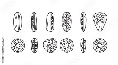 Artistic sketch of pomegranate slices and seeds various angles creative design elements vector