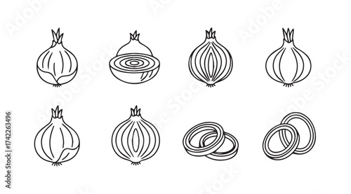 Collection of hand drawn onion icons representing whole halved and sliced onions vector