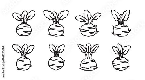 Set of hand drawn beetroot vegetable icons with green leaves simple sketch style vector