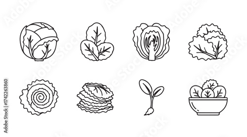 Hand drawn collection of fresh vegetables and sprouts for healthy eating vector