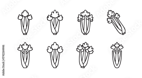 Fresh celery stalks simple line art collection healthy food icons organic produce elements vector