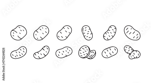 Collection of hand drawn potato illustrations in various poses and sizes vector