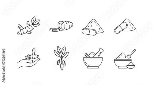 Collection of outline icons representing herbal medicine ingredients and preparation methods vector