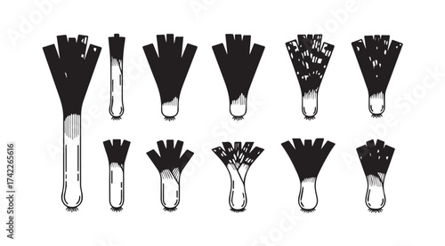 Collection of ten different types of artistic hand-drawn flower buds and seed heads isolated vector