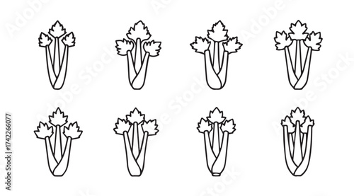 Fresh celery stalks arrayed for healthy eating and culinary preparation vector