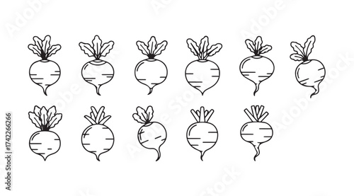 Hand drawn sketch collection of fresh beets with green tops artistic rendering of root vegetables vector