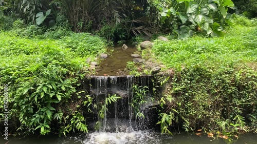 Waterfall from the small water conduit to the wider river under. Rainforest tropical garden surrounding