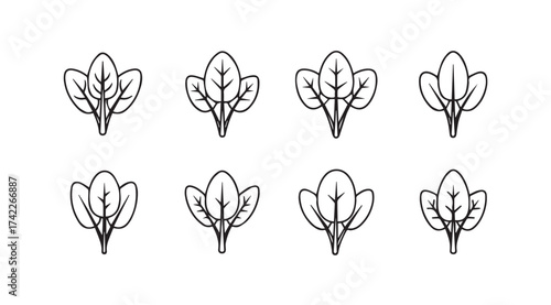 Collection of stylized hand drawn spinach leaves fresh healthy greenery food icon set vector