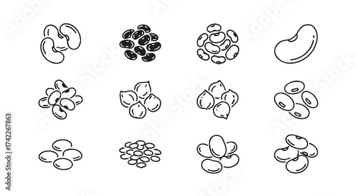 Collection of hand-drawn edible seeds and nuts variety in sketch style for healthy food concepts vector