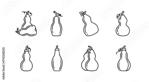 Collection of hand drawn gourd shapes and forms with bird motifs in sketch style vector