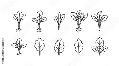 Hand drawn collection of various leafy green seedlings showing roots and sprouts vector