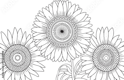Layered Sunflower Bouquet Mandala – Intricate Botanical Coloring Page