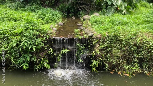 Waterfall from the small water conduit to the wider river under. Rainforest tropical garden surrounding