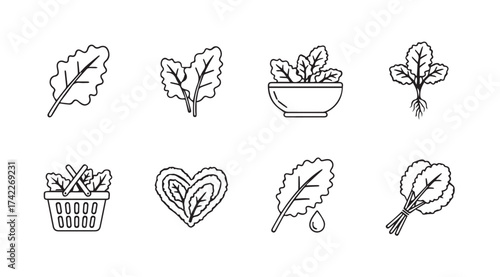 Hand drawn spinach leaves and healthy food icons representing freshness and nutrition vector