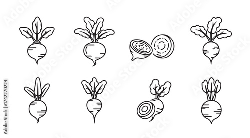 Hand drawn beetroot collection with greens for healthy food concepts vector