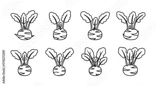 Collection of hand drawn beetroot root vegetables with green tops isolated elements for design vector