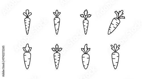 Simple hand drawn carrot collection fresh root vegetable collection organic food graphic elements vector