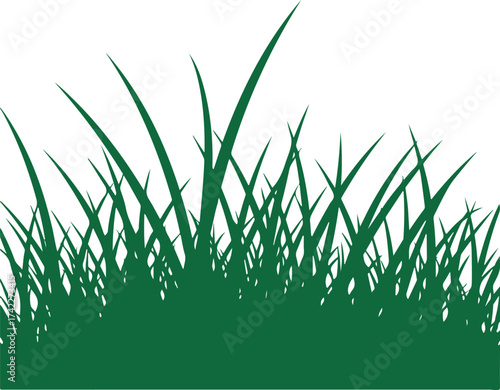 Green grass blades with transparent background