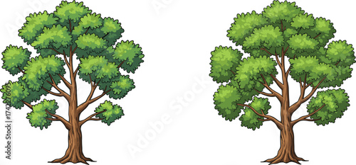 Green leafy trees cartoon illustration, lush foliage natural landscape, botanical forest concept, environmental nature design, summer vegetation, CAD drawing flat vector illustration