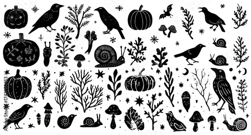 Vector set of linocut halloween mushrooms branches bats raven crow leaves flowers pumpkins and creepy nature isolated on cream background.