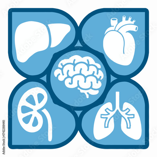 Vector icon of human vital organ like brain, heart, kidney, liver, lungs, blue color background 
