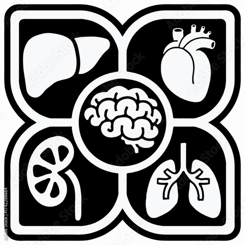 Vector icon of human vital organ like brain, heart, kidney, liver, lungs, in black colour 