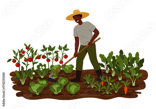 An African American farmer wearing a hat is tending to his garden, using a hoe to cultivate the soil amongst various vegetables.