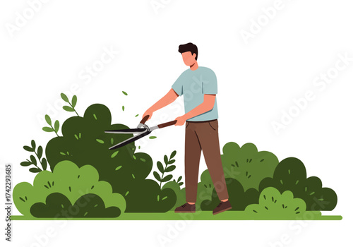 Man trimming a green bush with hedge trimmers in a garden, leaves falling, against a white background.