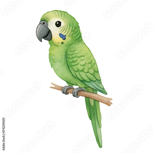 Exotic green Parrot Sitting on Branch