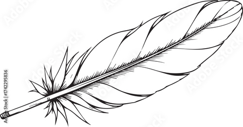 An intricate, hand-drawn illustration of a solitary feather, rendered in exquisite detail, suggesting lightness, freedom, and the simple beauty of nature.