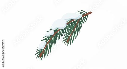 Fir branch covered in snow isolated on white background