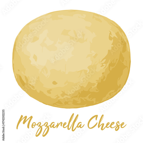 mozzarella cheese in watercolor illustration style, isolated vector on white background
