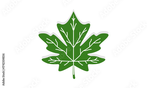 Oak leaf with shadow vector
