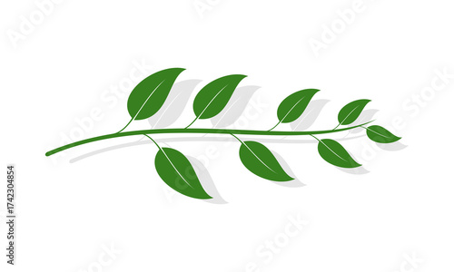 Sprig of leaves with shadow vector