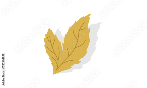 Dry leaf with shadow vector