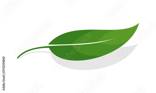 Elegant leaf with shadow illustration vector