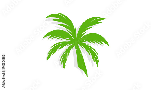 Coconut leaves with shadow vector