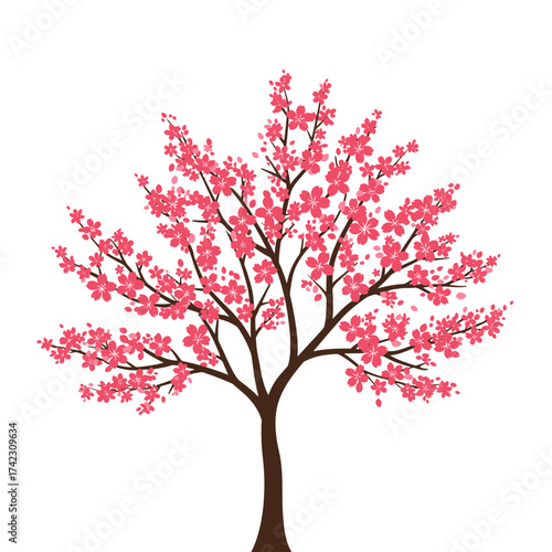 Pink cherry blossom tree with detailed flowering branches